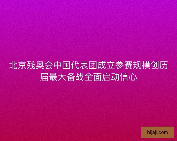 北京残奥会中国代表团成立参赛规模创历届最大备战全面启动信心 北京残奥会中国代表团成立参赛规模创历届最大备战全面启动信心